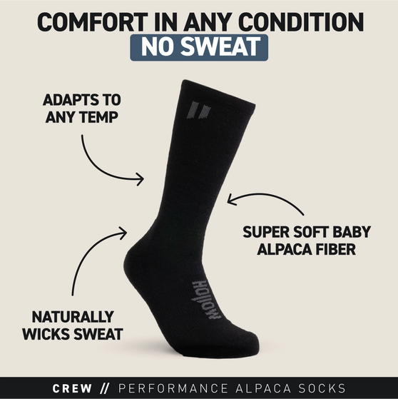 Crew Sock